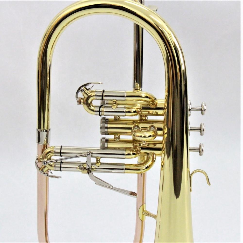 Erstklassiges Flugelhorn-Profi – Musical Instruments Online Bewertung und Preis