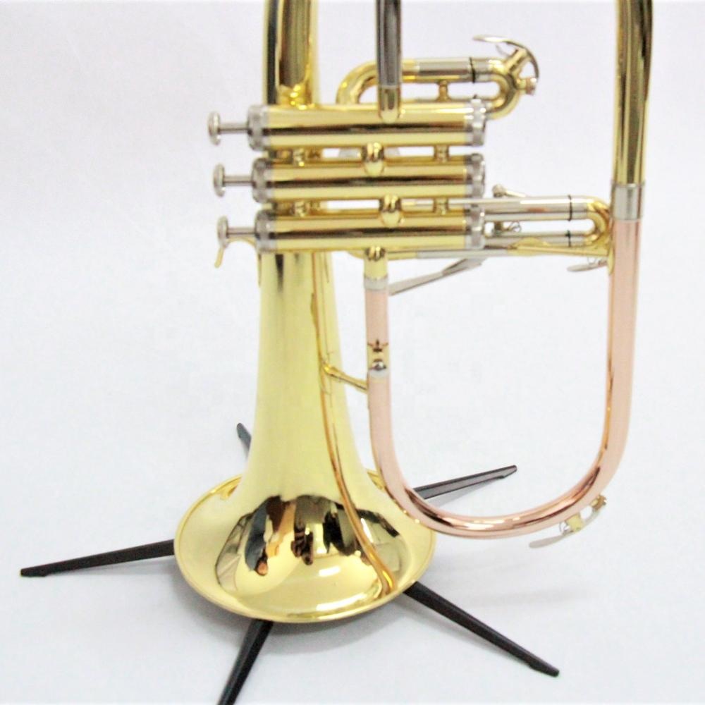 Erstklassiges Flugelhorn-Profi – Musical Instruments Online Bewertung und Preis