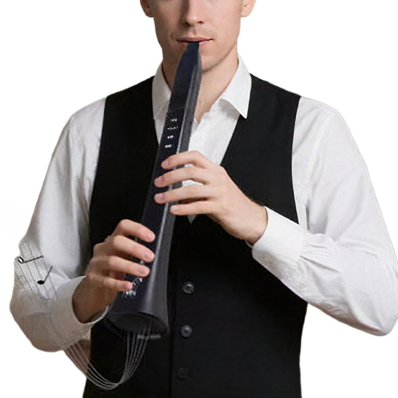 Tragbares elektronisches Blasi – Musical Instrument Of Bewertung und Preis