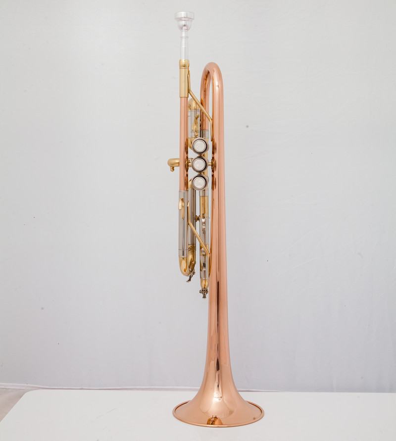 Professionelle C-Trompete, Mus – Musical Instrument Fagot Bewertung und Preis