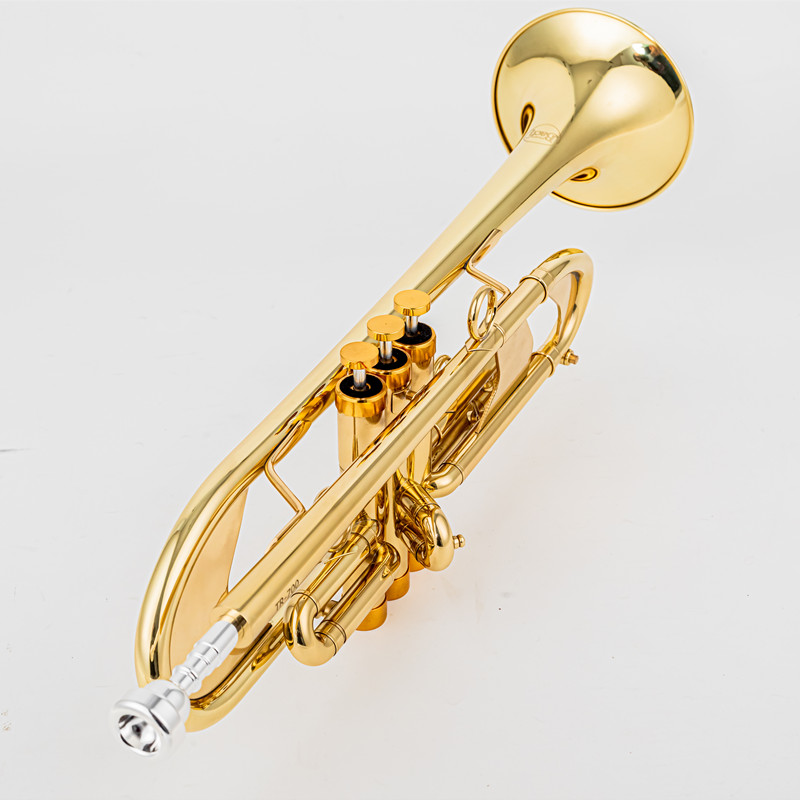 Vincent BACH 700B-Trompete B,  – Musical Instrument Fagot Bewertung und Preis