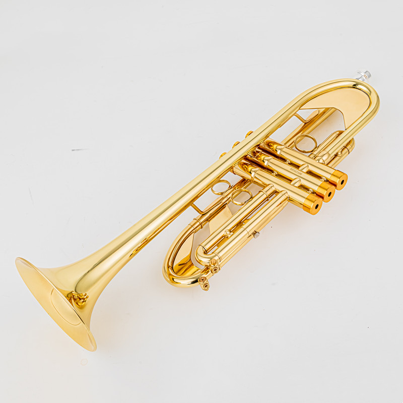 Vincent BACH 700B-Trompete B,  – Musical Instrument Fagot Bewertung und Preis