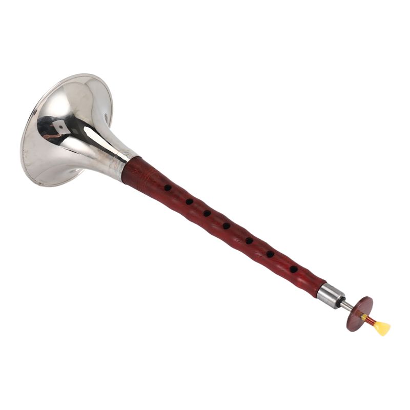 A12E-Chinesisches Volkswindins – Musical Instrument Zurna Bewertung und Preis